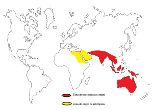 Mapa de localización de procedencia “palmeras infectadas”