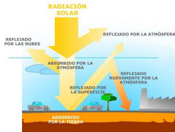 Biodiversidad